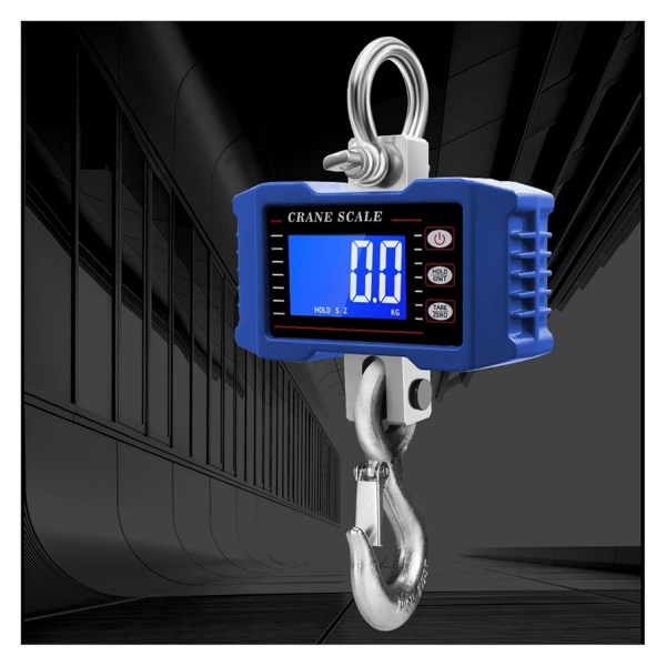 Balanza Colgante Metálico OCS-P1 300Kg/0.05Kg con control